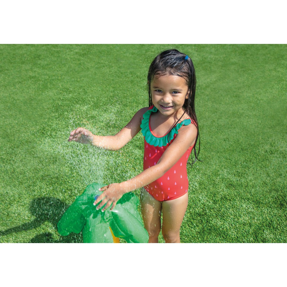 Little Dino Play Center