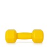AMILA Vinyl Dumbbell 4Kg