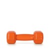 AMILA Vinyl Dumbbell 2Kg