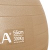 Μπάλα Γυμναστικής AMILA GYMBALL 55cm Χρυσή Bulk