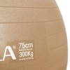 Μπάλα Γυμναστικής AMILA GYMBALL 75cm Χρυσή Bulk