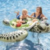 Realistic Sea Turtle Ride-On