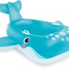 Blue Whale Ride-On