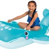 Blue Whale Ride-On
