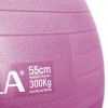 Μπάλα Γυμναστικής AMILA GYMBALL 55cm Ροζ