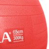Μπάλα γυμναστικής AMILA GYMBALL 75cm Κόκκινη