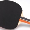 Ρακέτα Ping Pong Sunflex FORCE C20