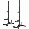 SQUAT STAND (WLX-3000) PORTABLE Toorx