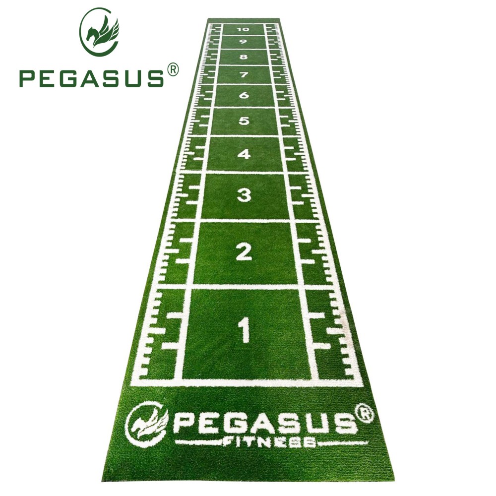 Pegasus® Συνθετικός Χλοοτάπητας 2x11m (3159)