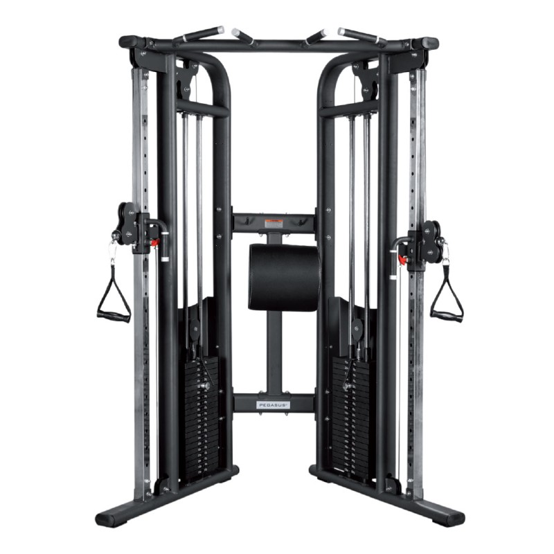 Pegasus® Functional Trainer Pro
