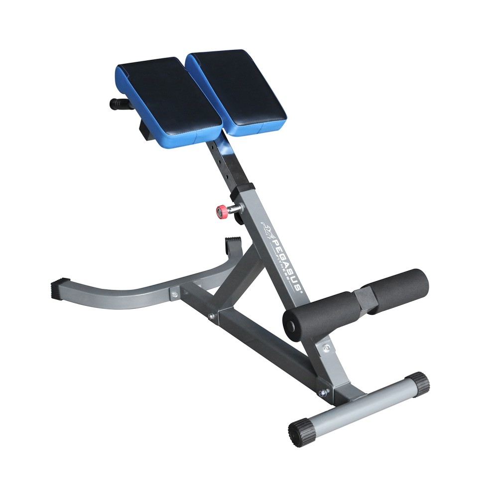 Pegasus® Πάγκος Ραχιαίων LRK-904