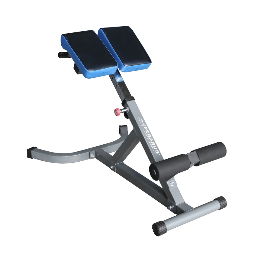 Pegasus® Πάγκος Ραχιαίων LRK-904