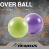 Pegasus® Μπάλα Γυμναστικής Pilates 25cm (Πράσινο)