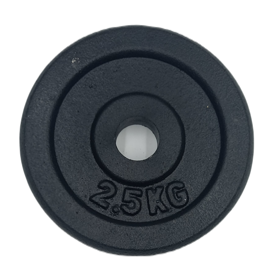 Ζευγάρι Cast Iron Plates Φ28 2.5kg Pro-Fit