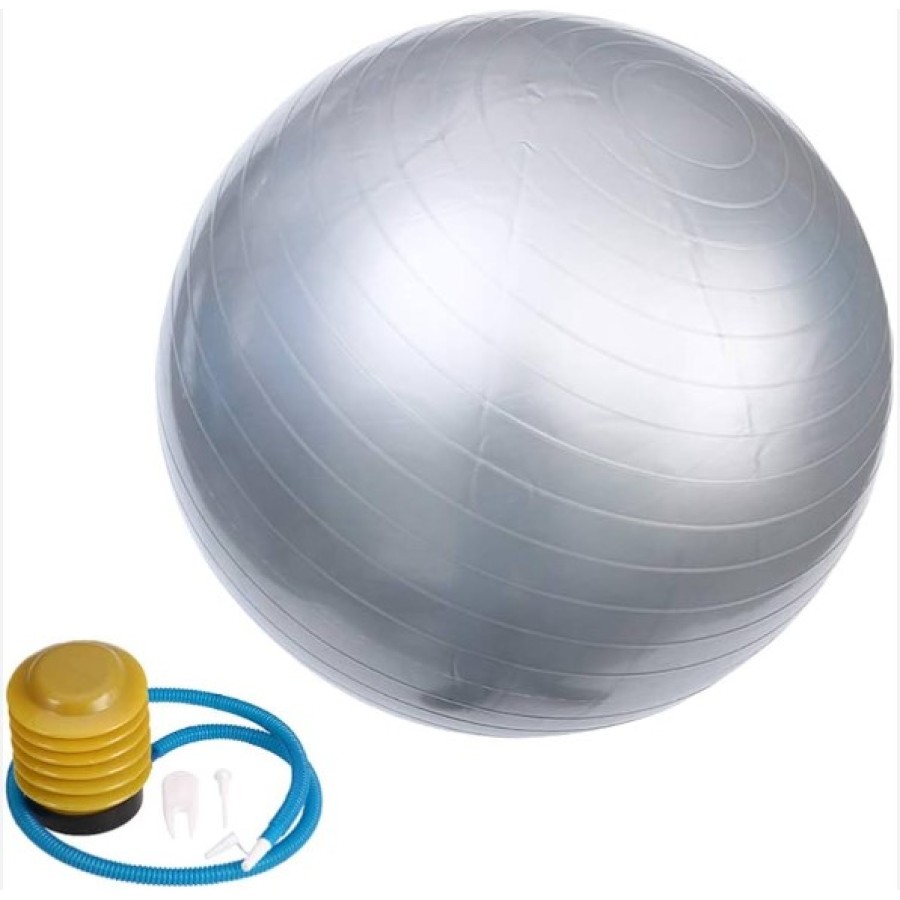 Glossy fit ball 65cm Grey Pro-Fit