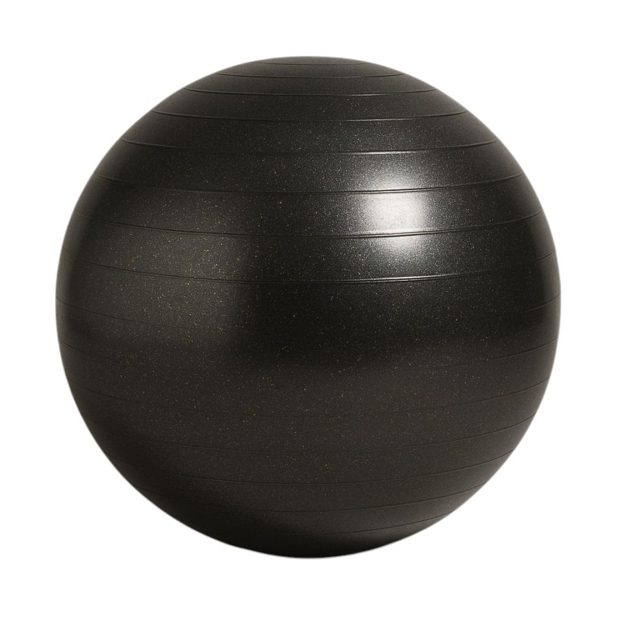Glossy pro fit ball 65cm black Pro-Fit