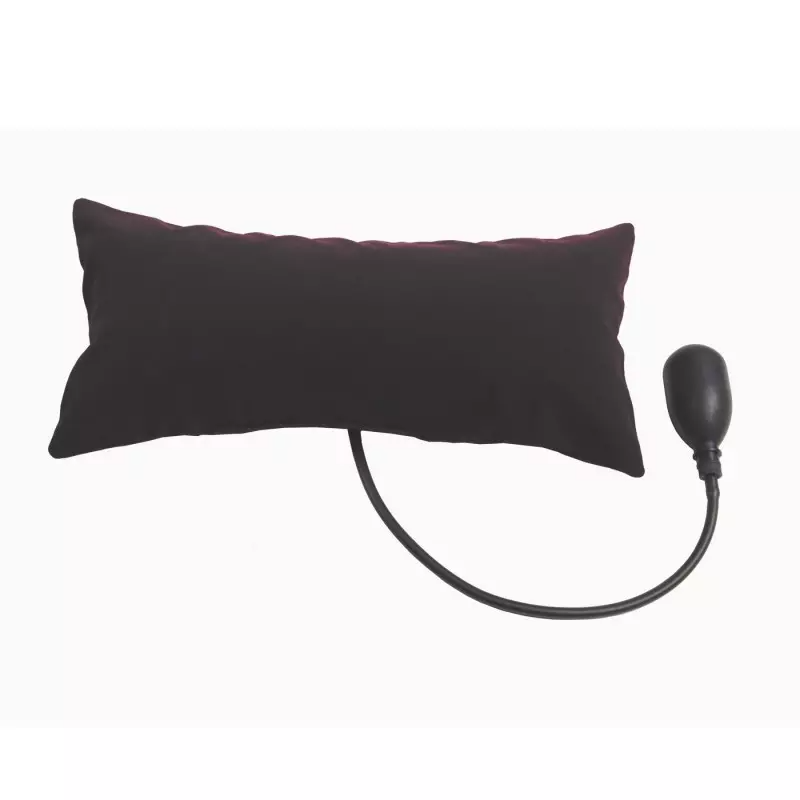 Inflatable Lumbar Pillow