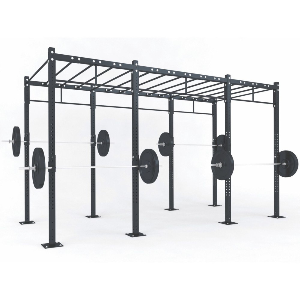 FUNCTIONAL TRAINING RIG D3