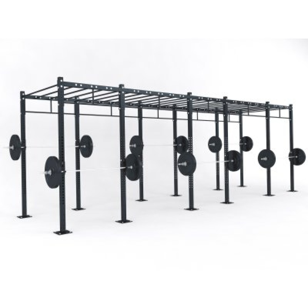 ​ Functional structure D5