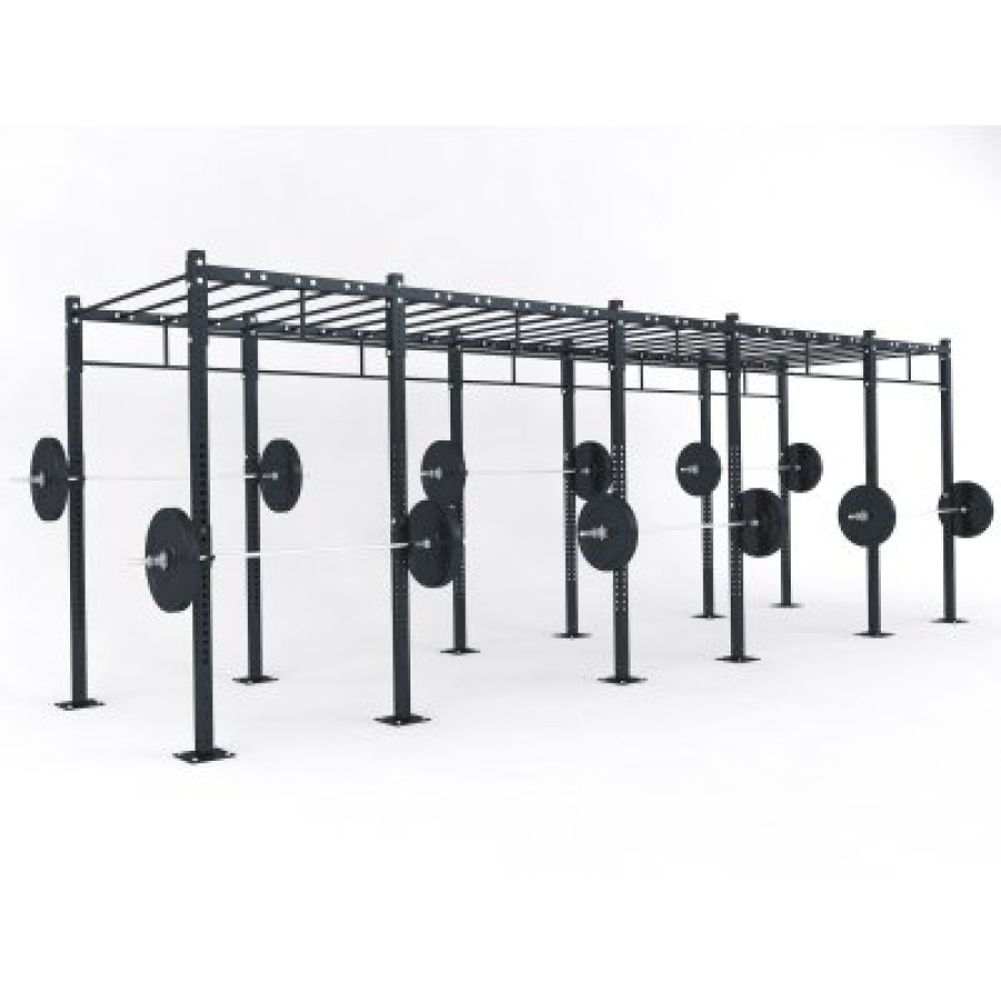 ​ Functional structure D5