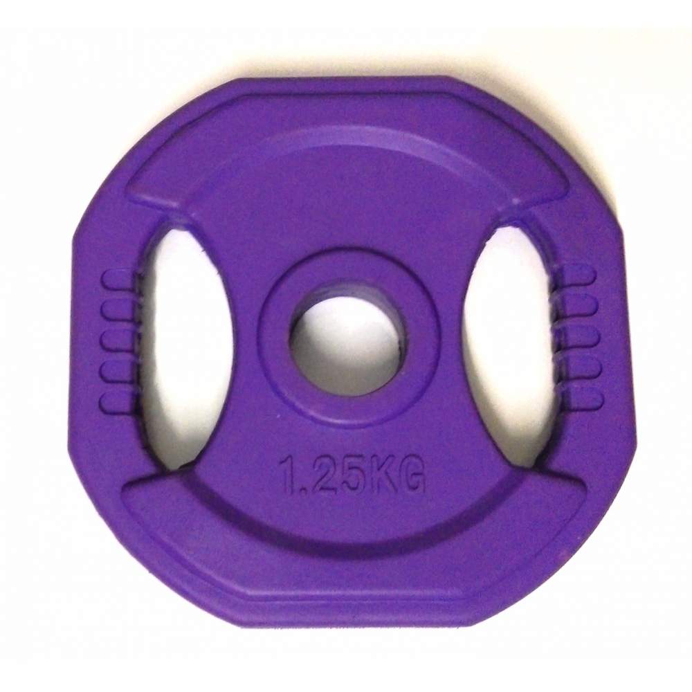 Pump-set disk 1,25kg