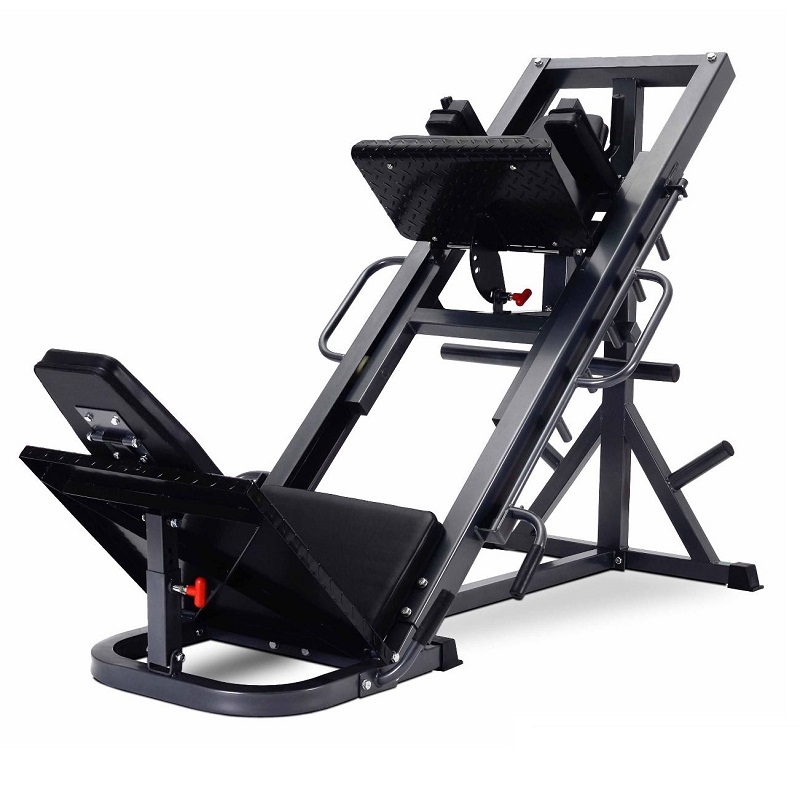 Leg Press/Hack Squat