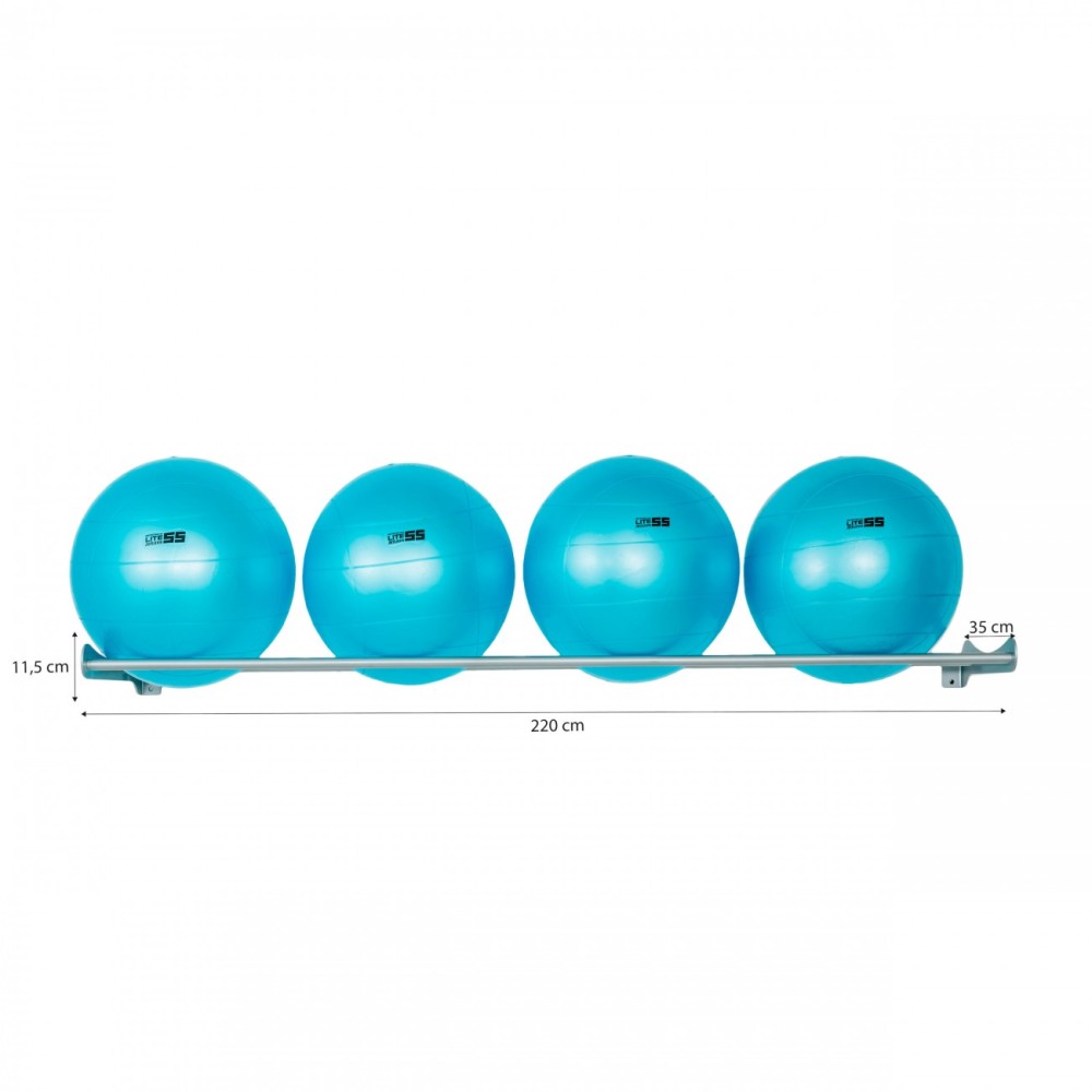 Wall Mount For Fitness Ball