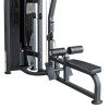 Lat Pulldown and Low Row (Dual)
