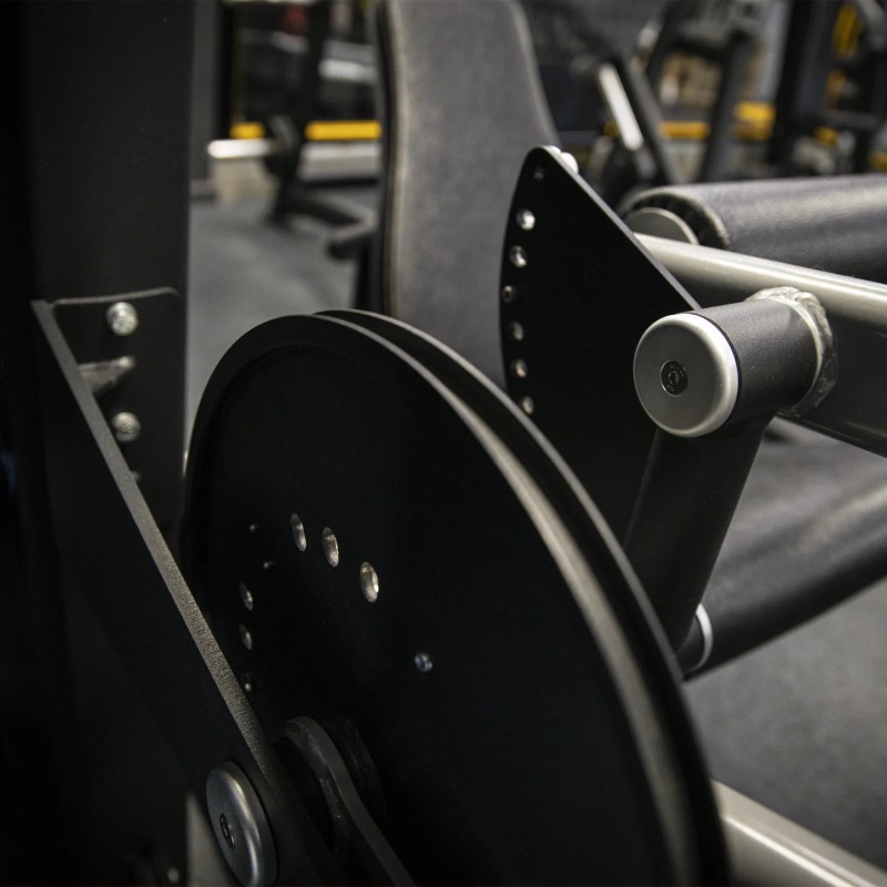 Seated Leg Extension and Curl (Dual)