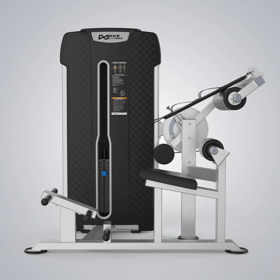 Abdominal & Back Extension