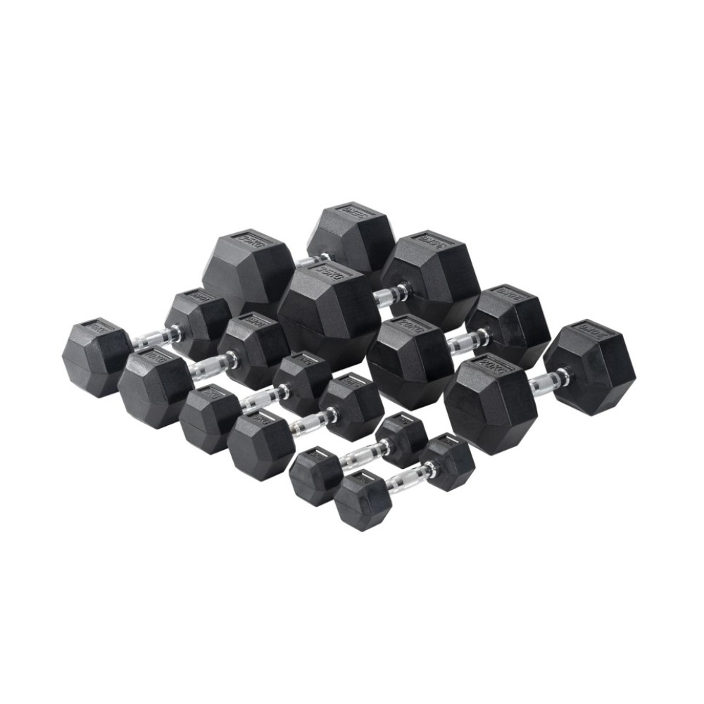 VIKING ΑΛΤΗΡΑΣ ΕΠΑΓΓΕΛΜΑΤΙΚΟΣ ΕΞΑΓΩΝΟΣ - 22.50 kgr