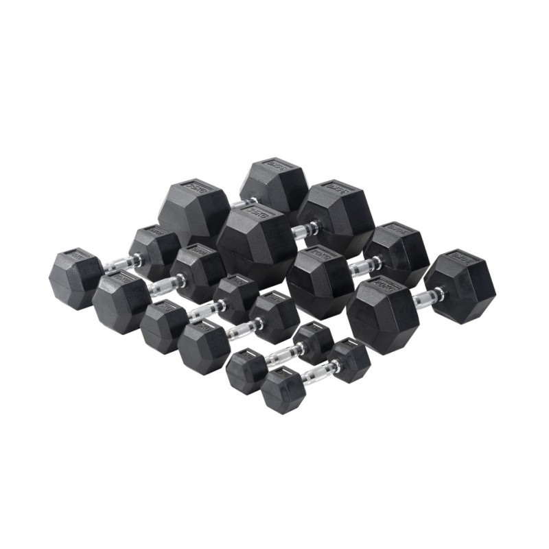 VIKING ΑΛΤΗΡΑΣ ΕΠΑΓΓΕΛΜΑΤΙΚΟΣ ΕΞΑΓΩΝΟΣ - 22.50 kgr