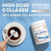 Fish Collagen Powder 300gr 10.000mg (SWEDISH NUTRA)