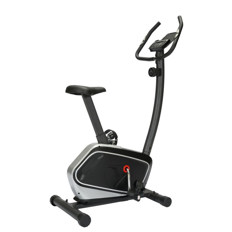 Viking Ποδήλατο Fancy