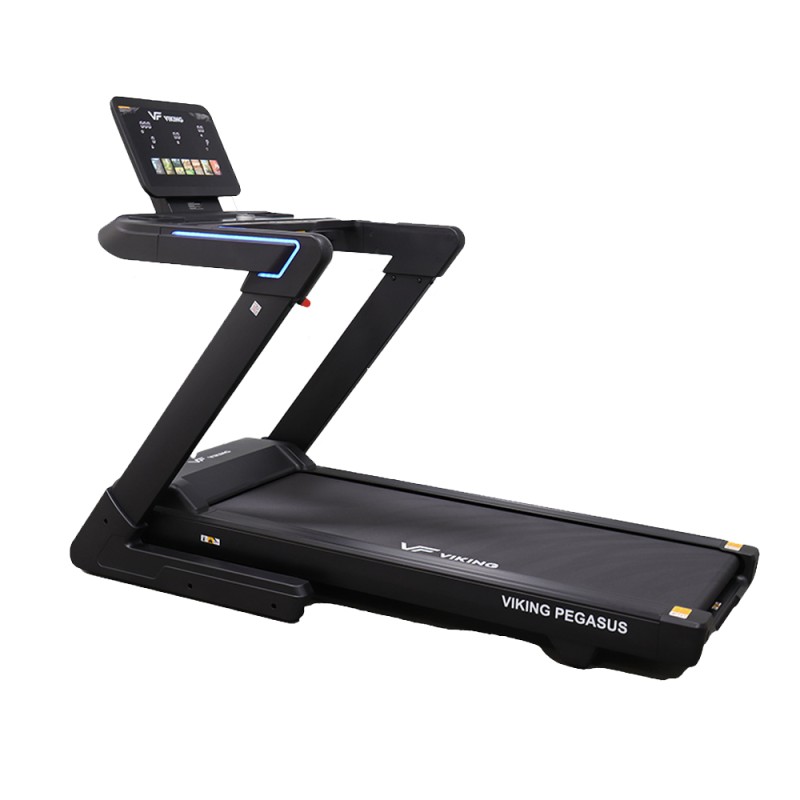 Διάδρομος ηλεκτρικός Viking Pegasus 4Hp