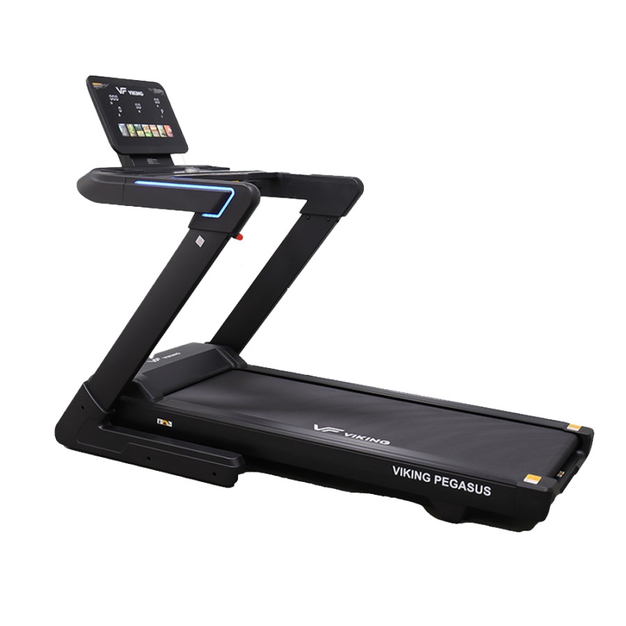 Διάδρομος ηλεκτρικός Viking Pegasus 4Hp