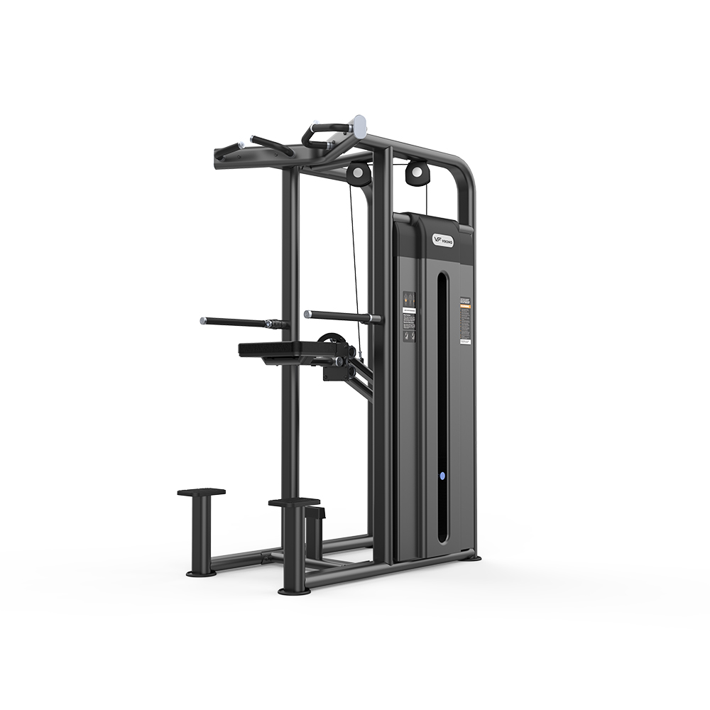 Viking Selectorized 2009 Dip / Chin Assist, Υποβοηθούμενο Μονόζυγο και Δίζυγο