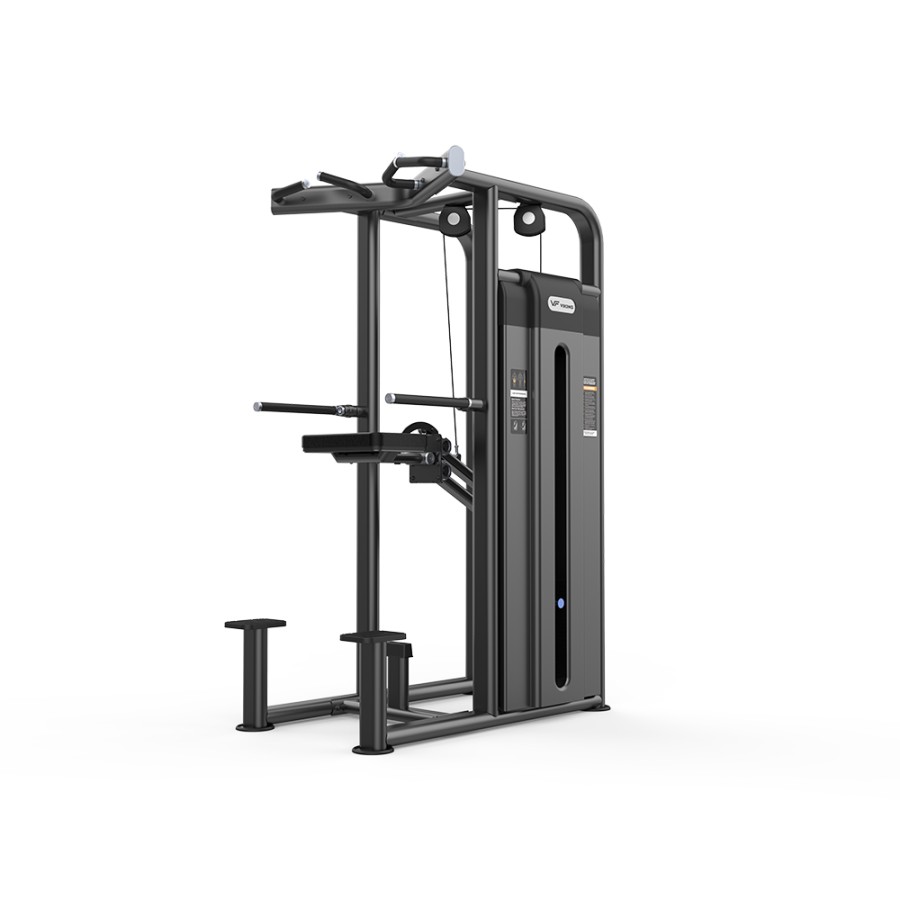 Viking Selectorized 2009 Dip / Chin Assist, Υποβοηθούμενο Μονόζυγο και Δίζυγο