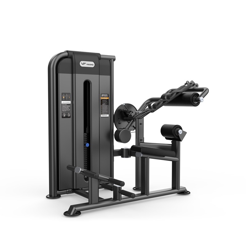 Viking Selectorized 2088 Ab Crunch and Back Extension, Μηχάνημα Κοιλιακών και Ραχιαίων