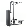 Lat Pulldown/ Low Row
