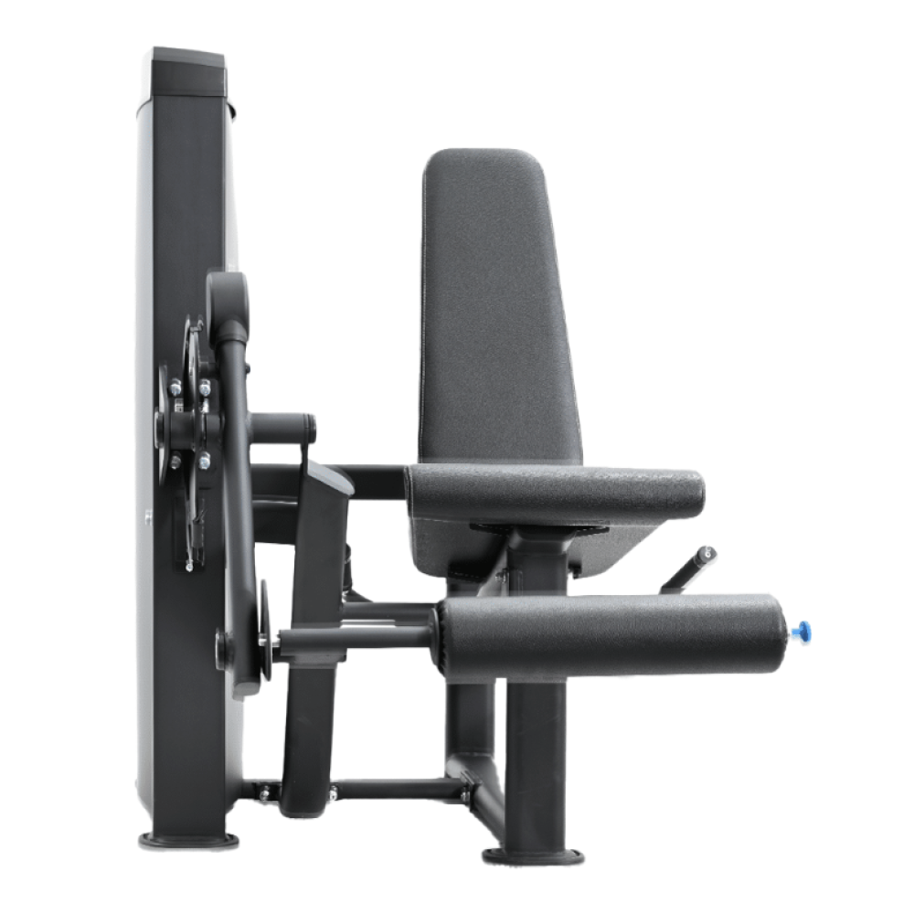 Leg Extension